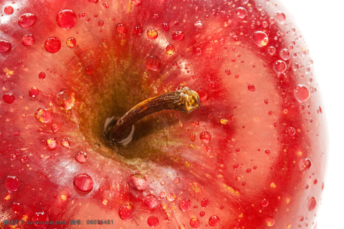 苹果 红苹果 水果 苹果特写 水珠 高清水果图片 夏日清爽水果 生物世界 水果蔬菜 餐饮美食 红色