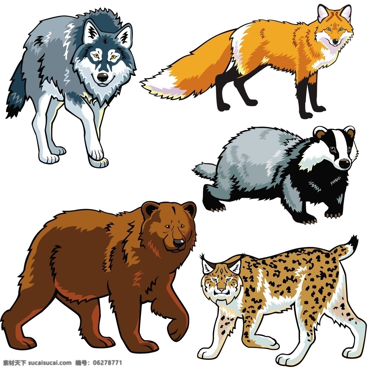 凶猛 动物 绘画 陆地动物 动物世界 卡通动物 漫画动物 狐狸 矢量 高清图片