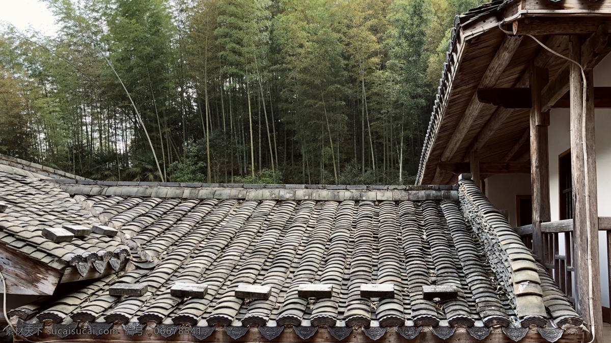 农村 建筑 砖瓦房 竹林 自然 摄影图 旅游摄影 国内旅游