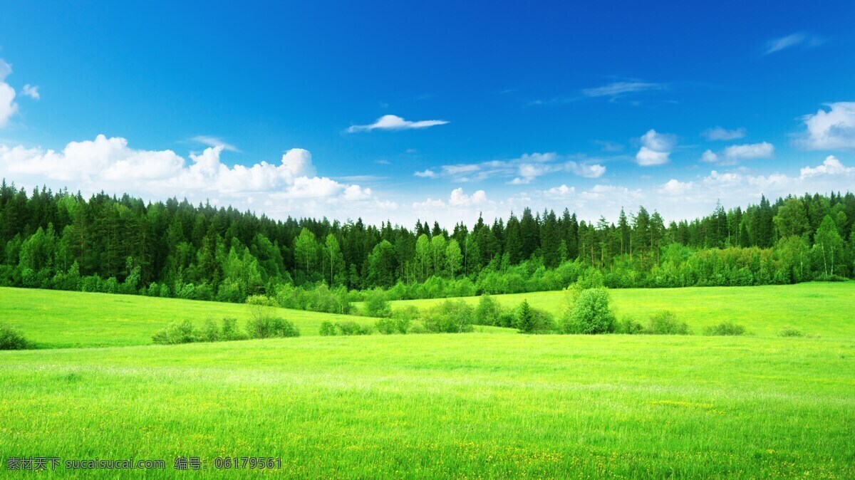 蓝天白云草地 蓝天 白云 草地 大气 树林 自然景观 自然风景