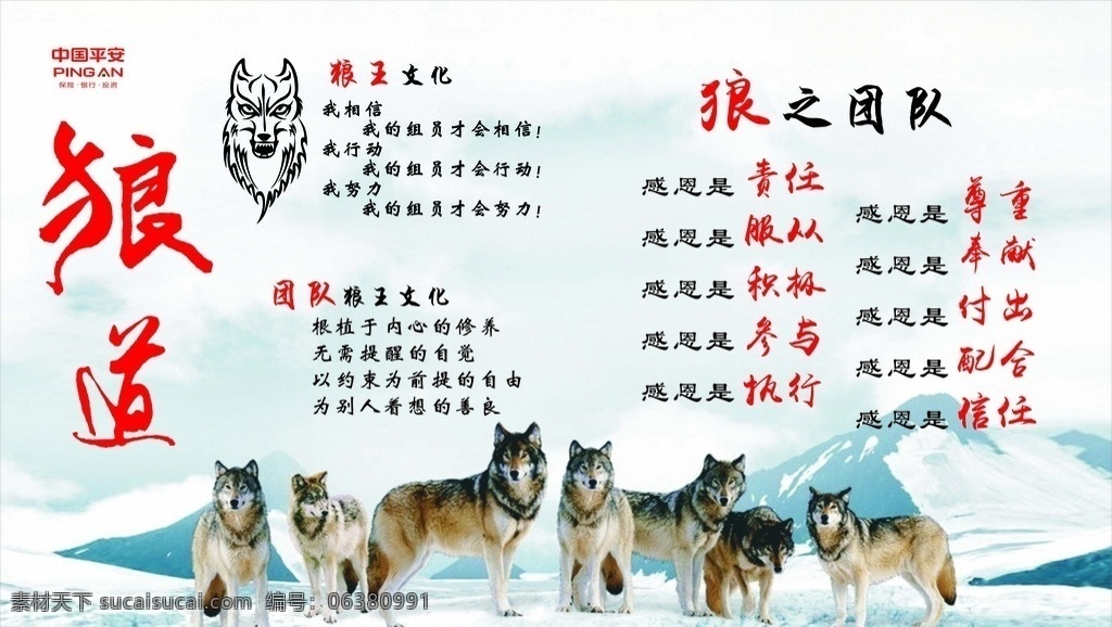 狼道 狼图腾 狼文化 矢量狼 狼logo 平安狼团队 狼团队 平安狼文化 狼之团队 展板模板