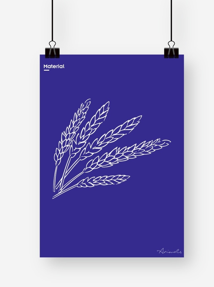 小麦图片 小麦 小麦手绘 小麦图形 小麦矢量 谷子 水稻 手绘 图形 图标 图案 标志 底纹边框 条纹线条