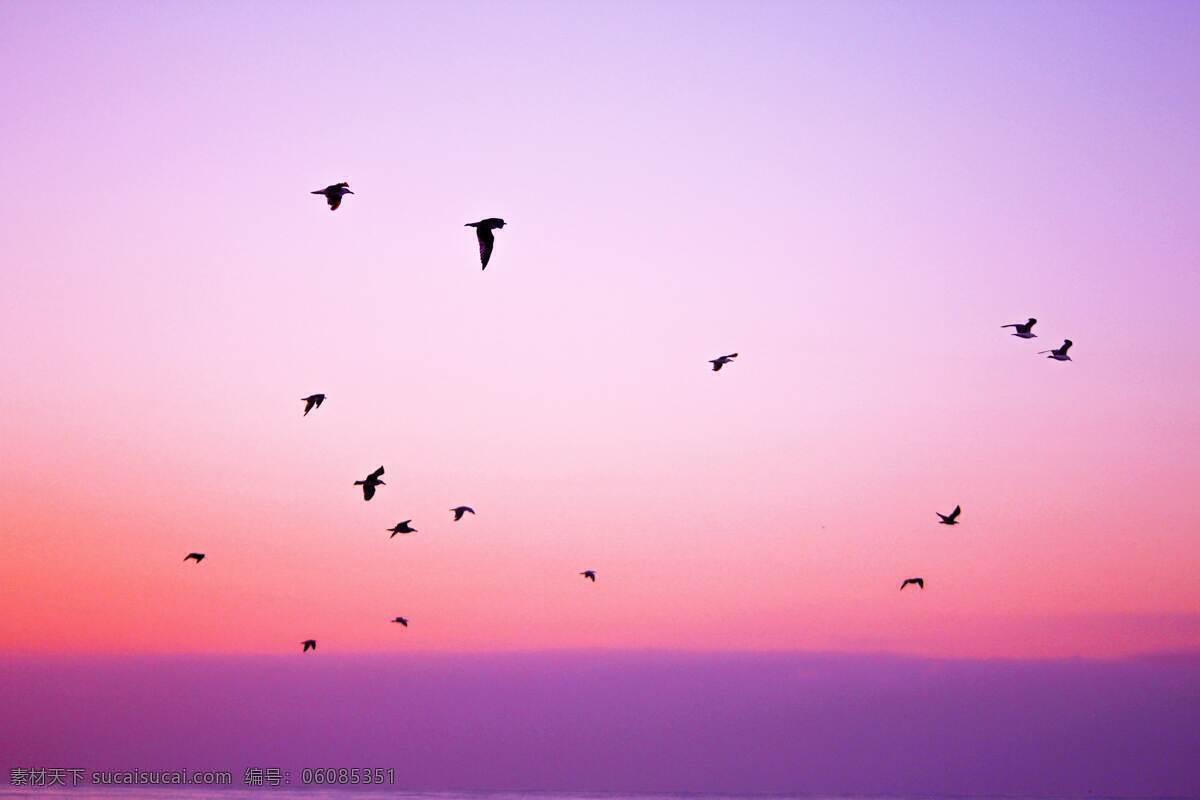 紫色系天空 深紫色 淡紫色 天空 背景 大雁 自然景观 自然风光