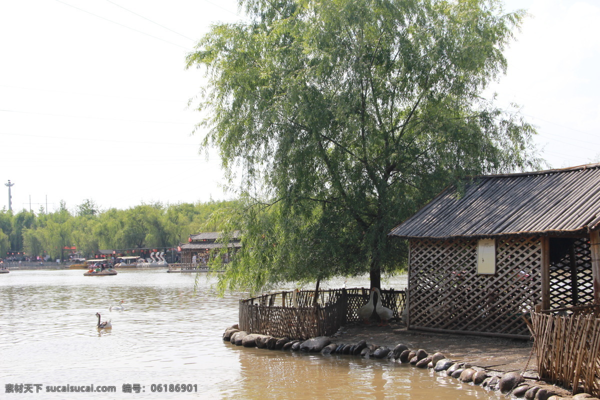 河 湖 水 鸭子 小岛图片 小岛 夏季 小茅屋 公园水景 划船 旅游摄影 国内旅游
