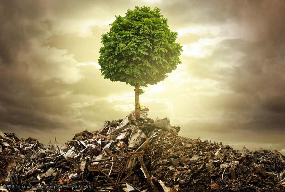 垃圾堆 上 一棵树 宣传背景 自然风景 自然景观 环保图片素材 天空 云层 废弃物 环保 爱护环境 环境宣传海报 黄色