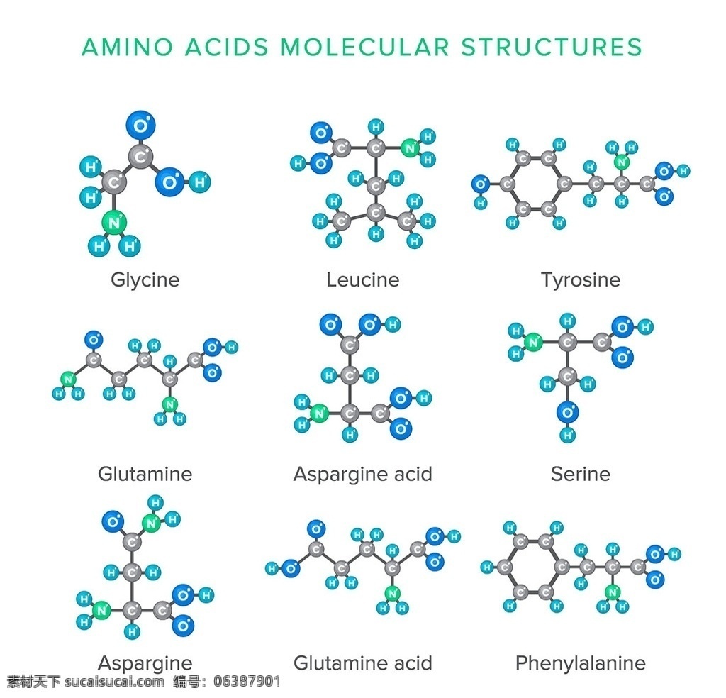 dna 科学 医学 生物 生物化学 生物学 技术细胞 化学 铬染 色体 克隆 代码 进化