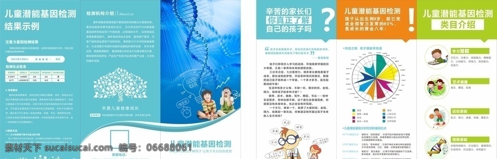 基因三折页 儿童 天赋基因 三折页 天赋基因折页 dna