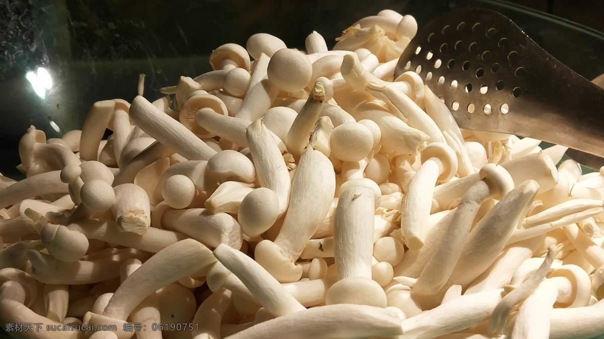 菌菇图片 菌菇 自助餐 火锅 食材 菜品 餐饮美食 传统美食