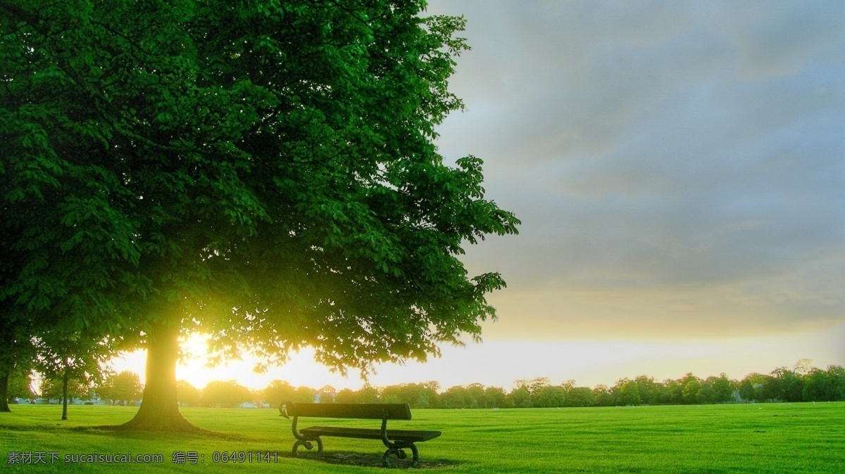 草地长椅壁纸 阳光 树下 草地 长椅 壁纸 自然风光 自然景观