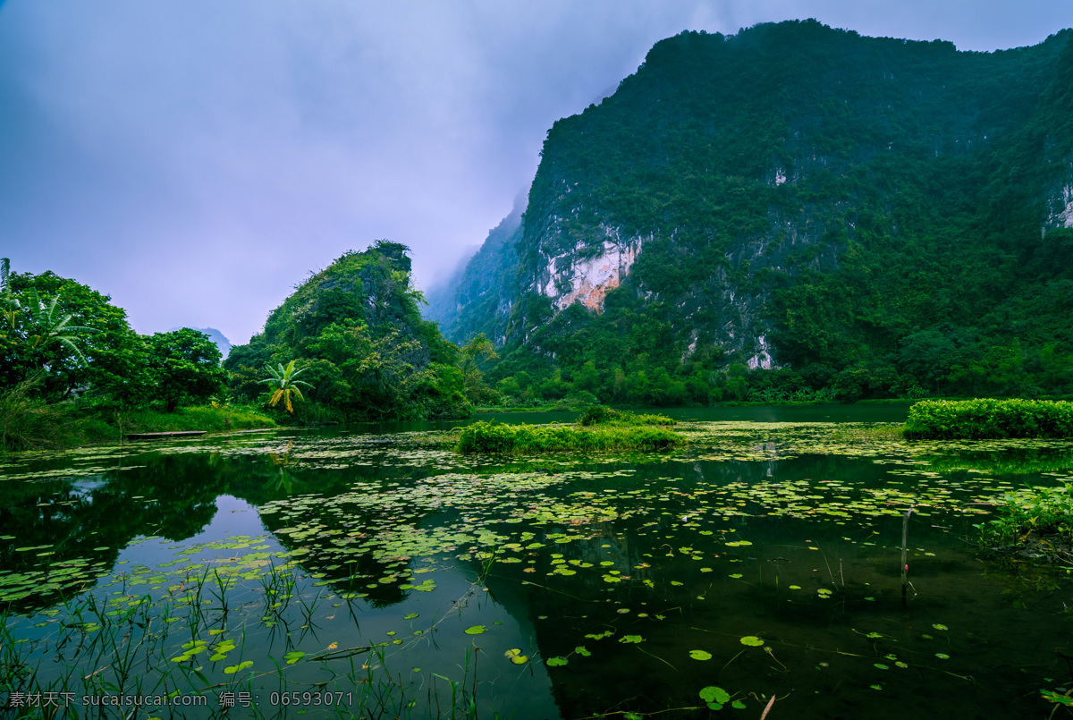 越南 河流 森林 岩 大自然 大山 绿山 河水 青山绿水 自然景观 自然风景