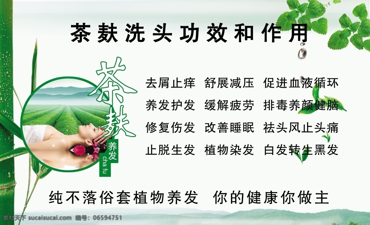 茶麸洗头 中药洗头 顺秀养发 茶麸养发 中药养发 名片卡片