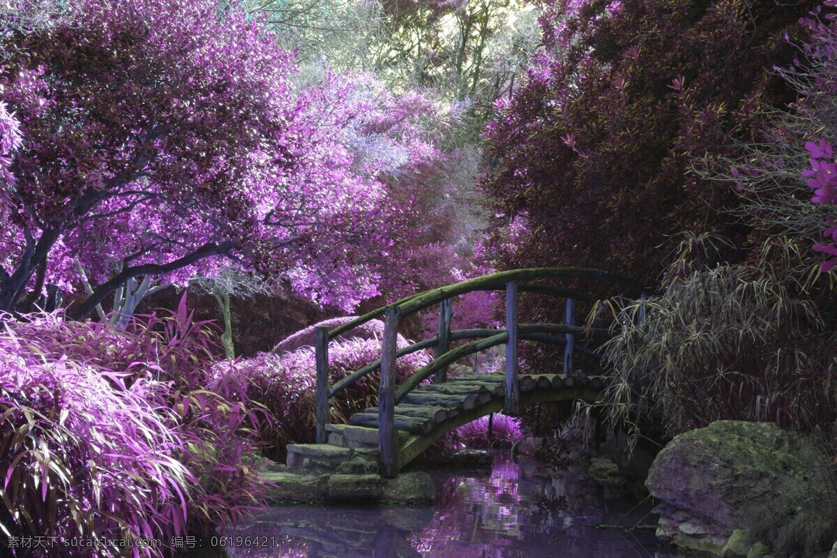 桃园仙境 桃树 树 花 桥 水面 路 自然景观 自然风景