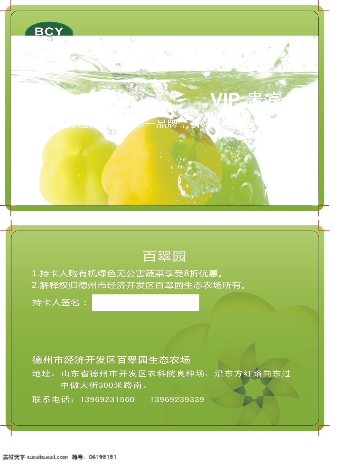 vip卡 贵宾卡 会员卡 名片卡片 蔬菜 水果 vip 卡 矢量 模板下载 蔬菜vip卡 名片卡 广告设计名片