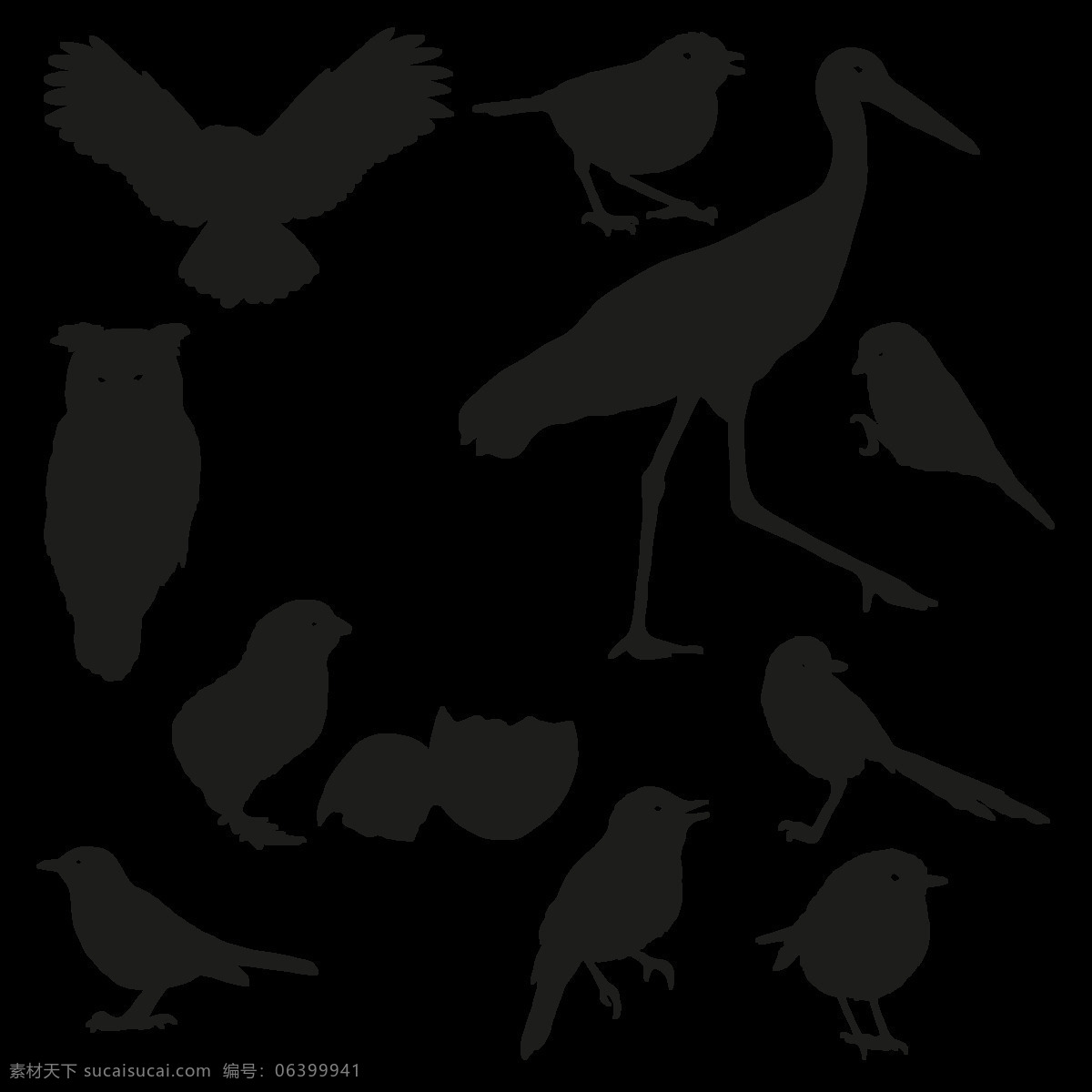 各种 大小 鸟类 透明 黑色 剪影 白鹤 老鹰 猫头鹰 免扣素材 透明素材 小鸟 装饰图片