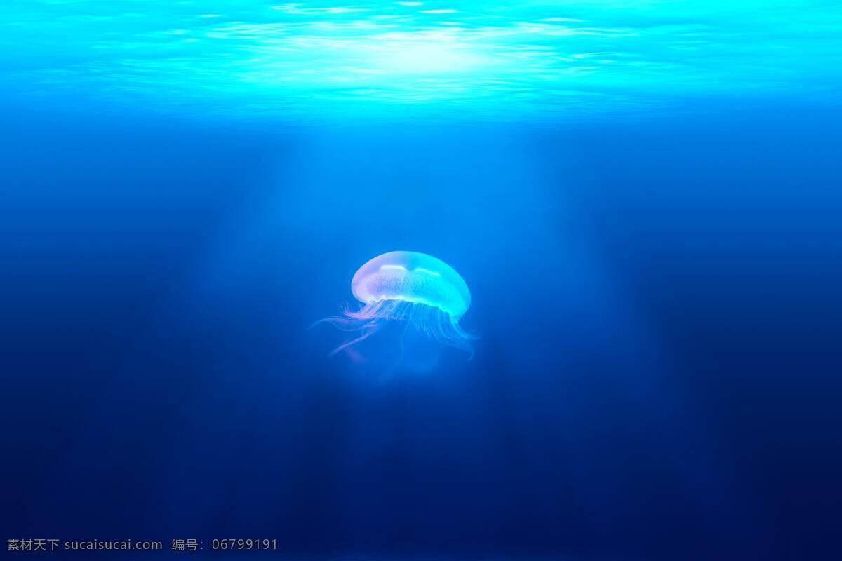 深海水母 水母 透明水母 海洋动物 透明 触须 水母触须 生物世界 海洋生物
