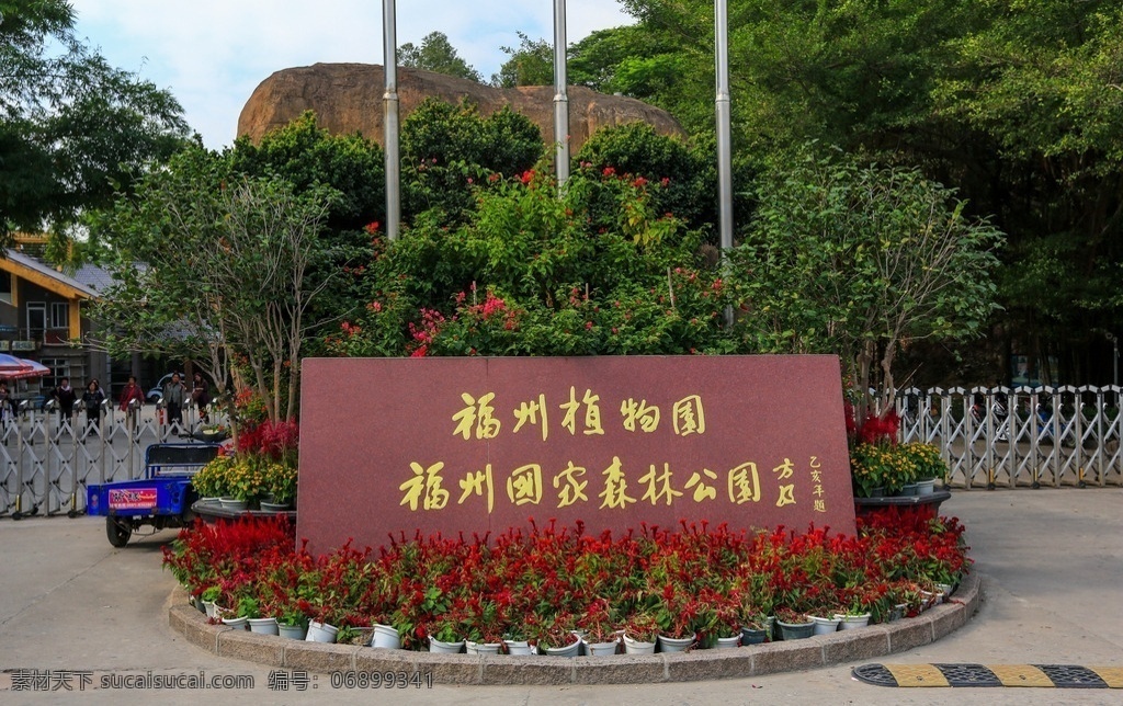 福州 国家森林公园 百年榕树 蓝天白云 自然景观 旅游景区 树木树叶 特色景区 山水 森林 园林 风景区 自助游 国内旅游 旅游摄影