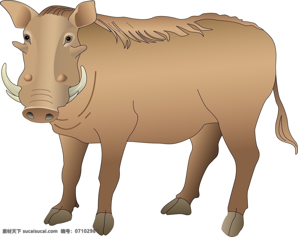 卡通 动物 矢量 设计素材 儿童 野生动物 野猪 矢量图 其他矢量图