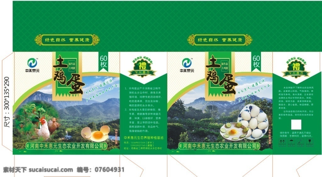 中禾惠元 健康之源 大自然 山景 土鸡蛋 鸡蛋 蛋清 土鸡蛋包装 山鸡蛋 草鸡蛋 草鸡蛋包装 特产包装 精品鸡蛋 原生态鸡蛋 食品包装 鸡蛋礼品盒 绿色 环保 包装设计