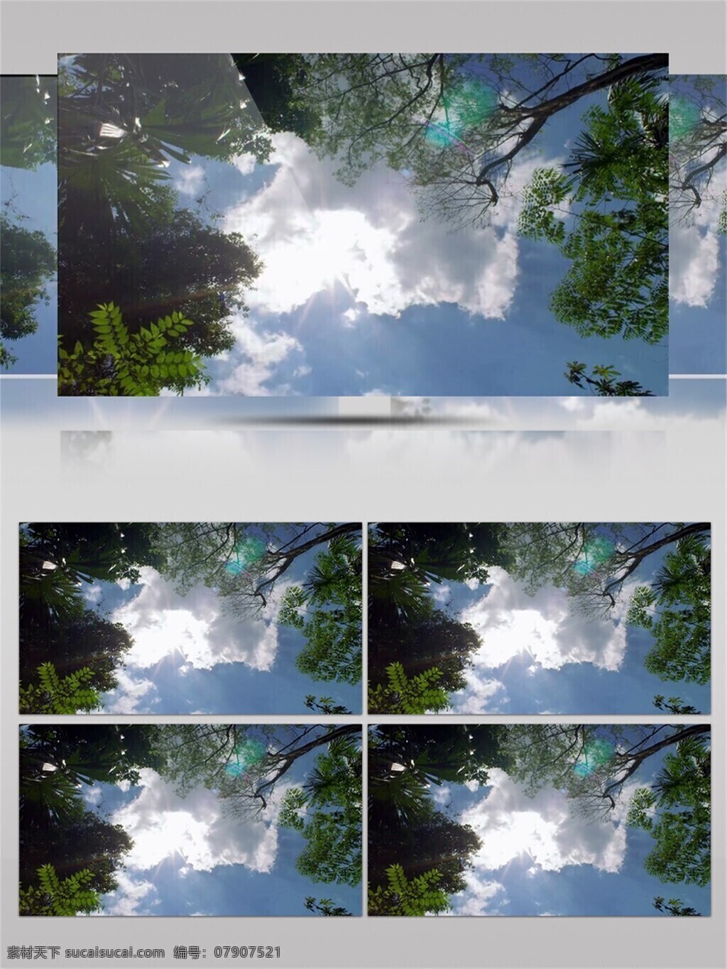 公园 逆光 自然风光 视频 音效 视频素材 春天 树木 太阳 蓝天 视频音效 夏天 生长