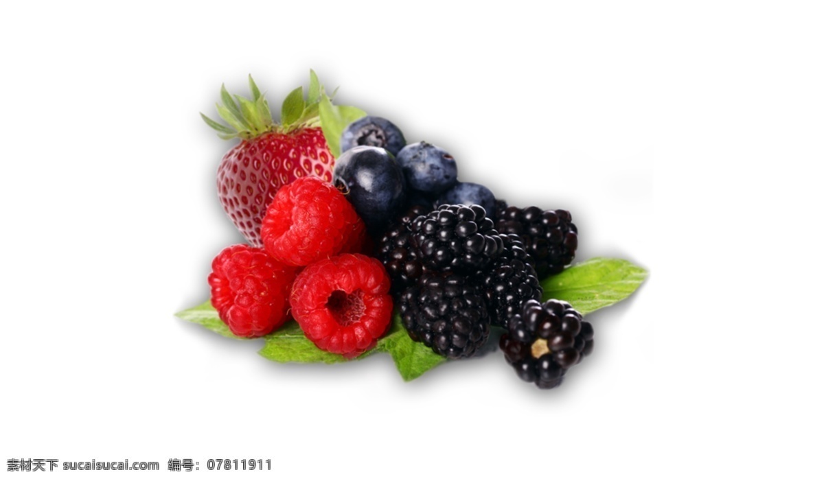 黑 莓 蓝莓 覆盆子 免 抠 透明 元素 浆果图形 浆果海报图片 浆果广告素材 浆果海报图