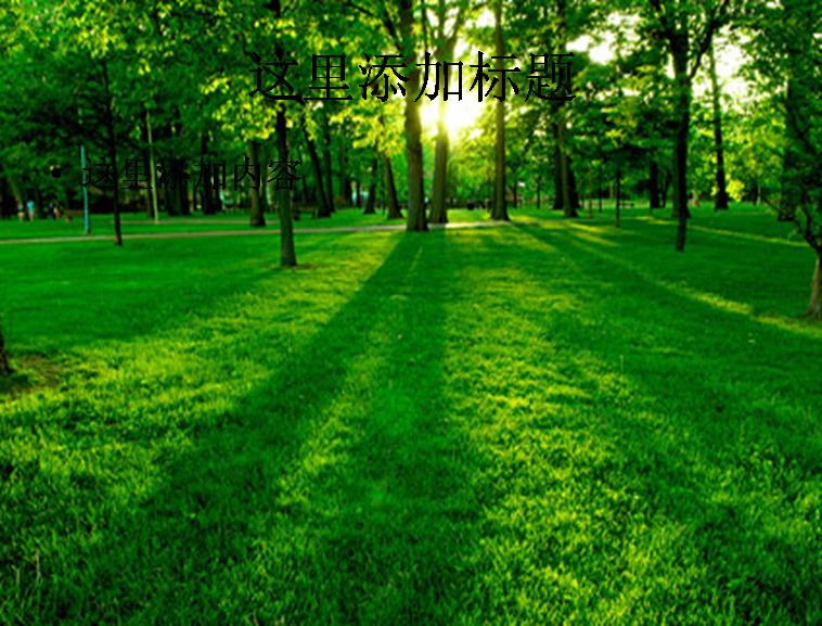 树木 草地 黄昏 模板 范文 风景 绿色 创意 实用 精品 自然风景