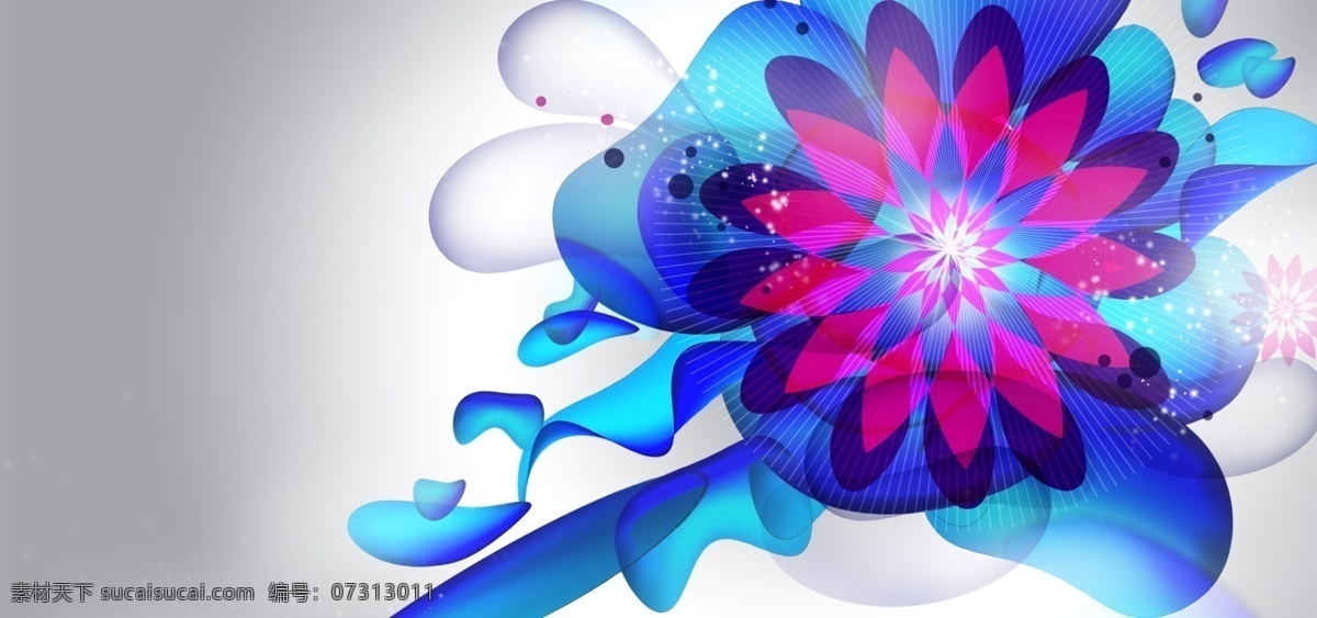 花 花背景 蓝色花 花卉 花朵 花主题 白色