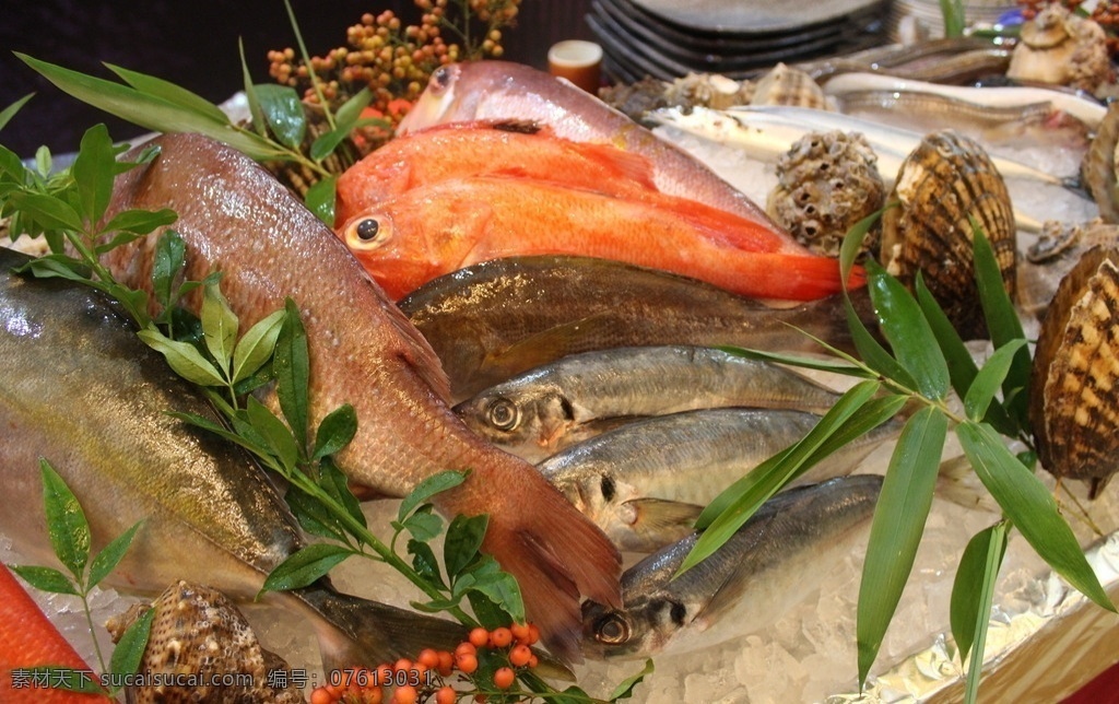 海鲜超市 海鲜自助 海鲜 螃蟹 海螺 贝类 蟹钳 虾 食物 餐饮美食 传统美食