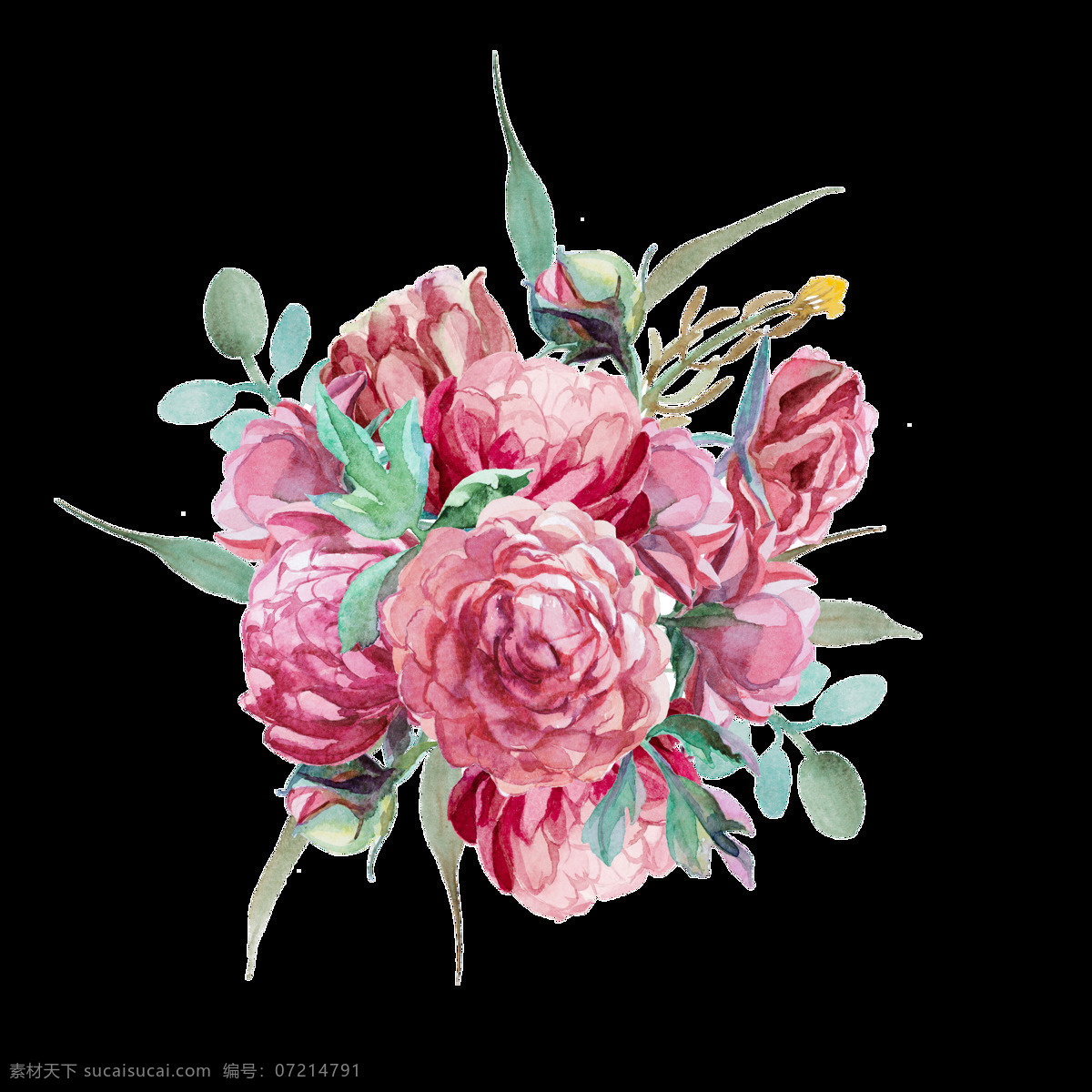 富贵 玫瑰 卡通 透明 装饰 花蕊 花丛 透明素材 免扣素材 装饰图案