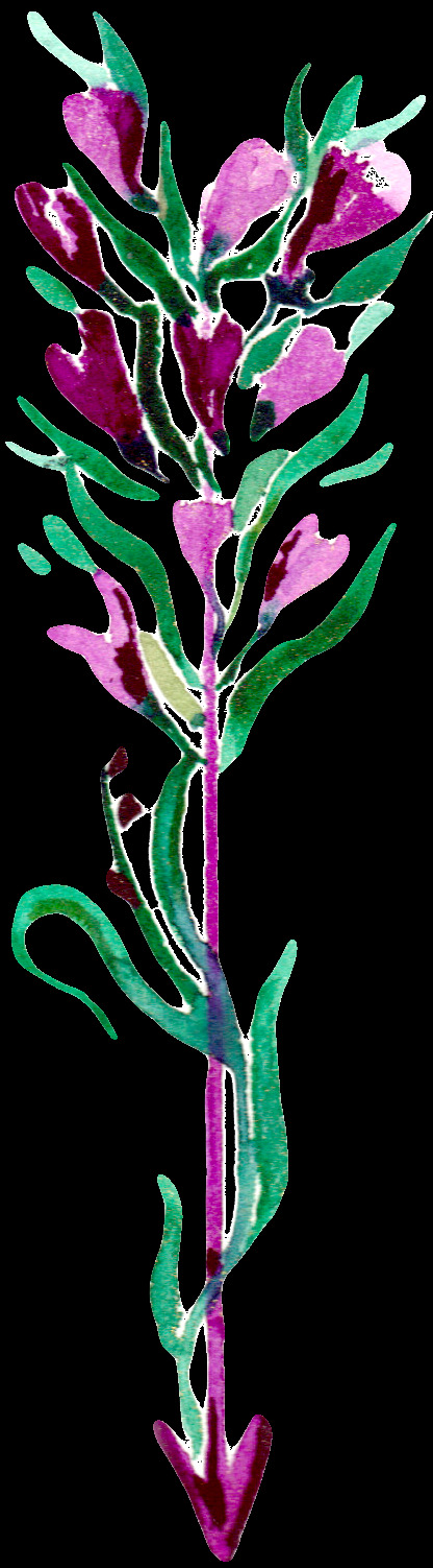 手绘 彩色 鲜花 弓箭 透明 合集 免 扣 插画 粉色 红色 花瓣 花朵 花卉 黄色 卡通 蓝色 绿色 绿叶