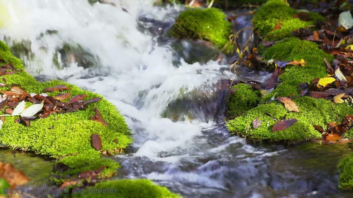 林溪3 自然 小溪 流动 河 水 岩石 苔藓 在户外 荒野 春天 新鲜的 山 木材 伍兹 林地 森林 宁静 安宁 慢动作 子弹时间 生态的 生态学 环境 环境的 石头 鹅卵石