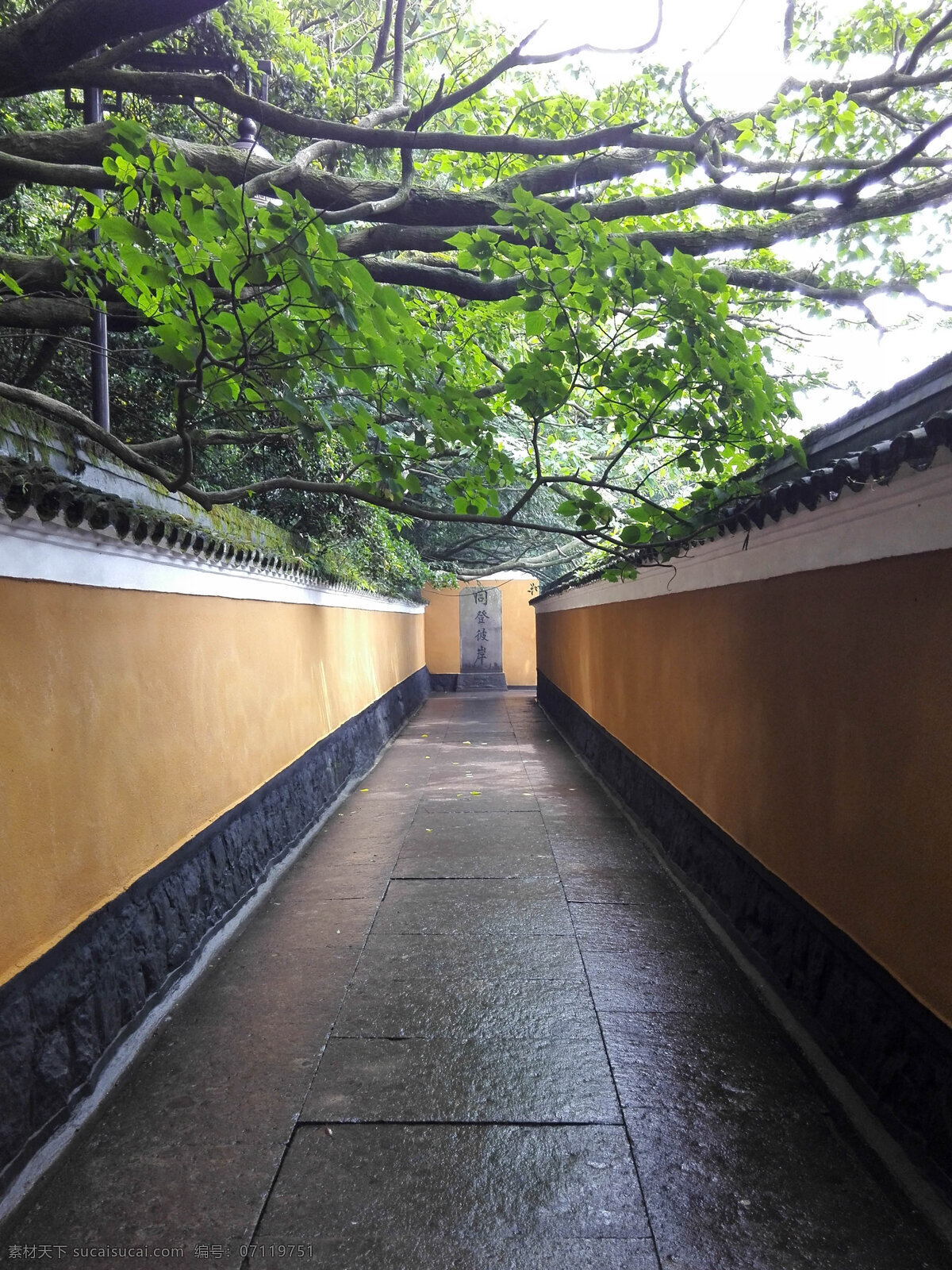 普陀山 自然风光 风景名胜 景区 宗教 佛教 旅游摄影 国内旅游