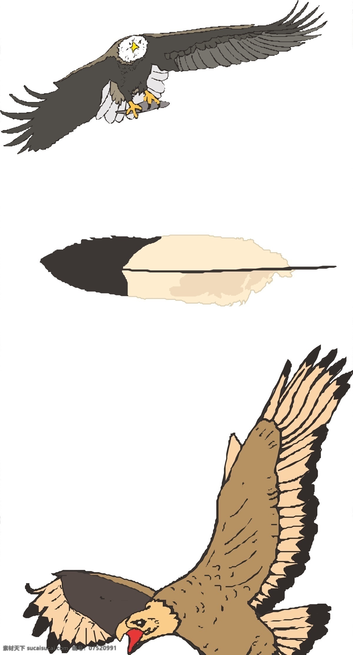鸟类集锦1 鹰 天鹅 鹦鹉 羽毛 鹤 生物世界 鸟类 矢量图库