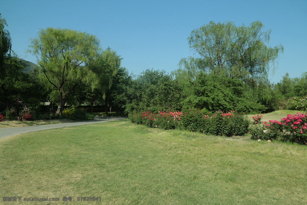 植物园美景 月季园 月季花 植物园风景 园林美景 绿树 绿地 树木 园林景观 公园美景 园林风景 花草 绿化景观 建筑园林 园林建筑