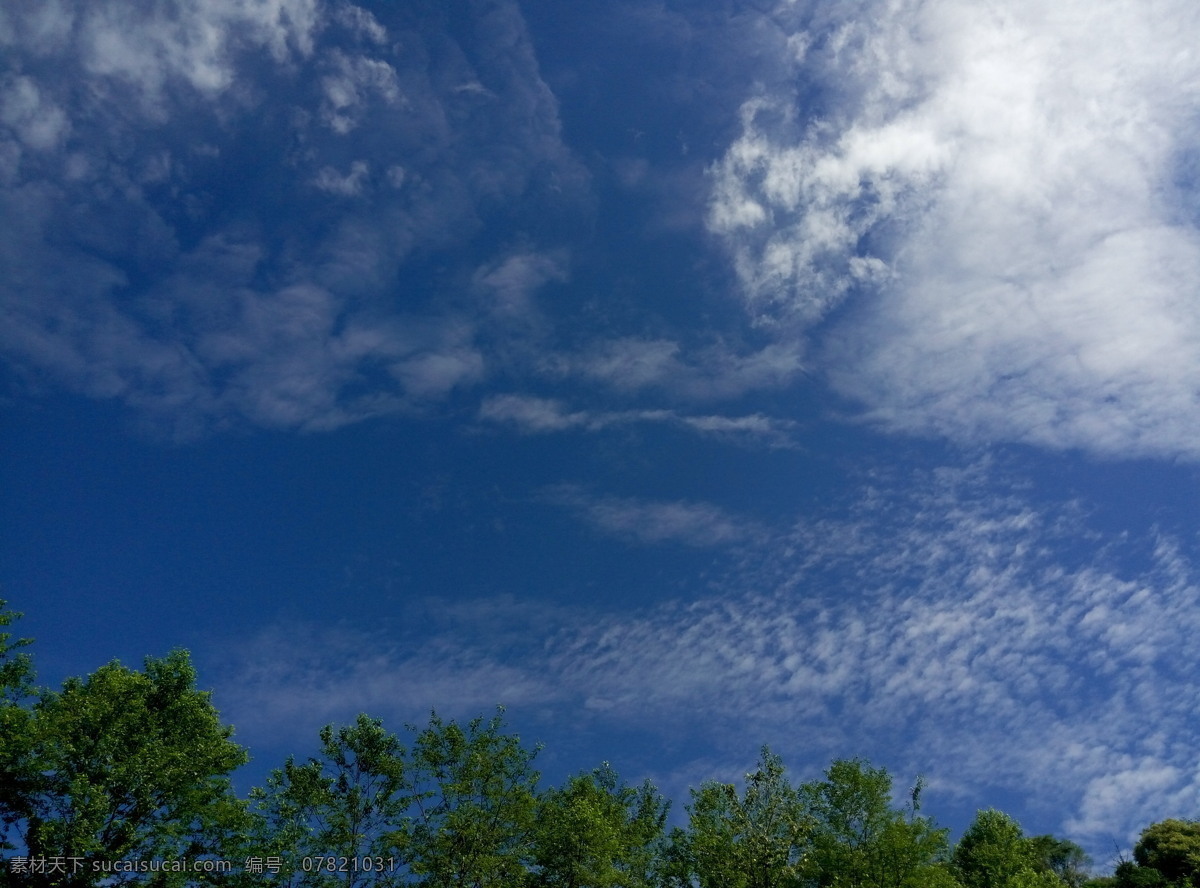 蓝天白云 蓝天 白云 云朵 天空 树 自然 沿途风景 自然景观 自然风景