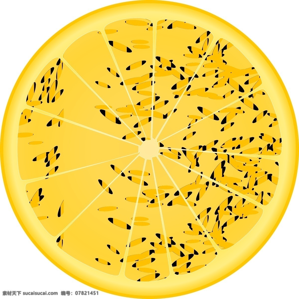 柠檬 片 矢量 桔子 柑橘类水果 黄色 酸 多汁 新鲜 维生素 成熟 生物世界 水果