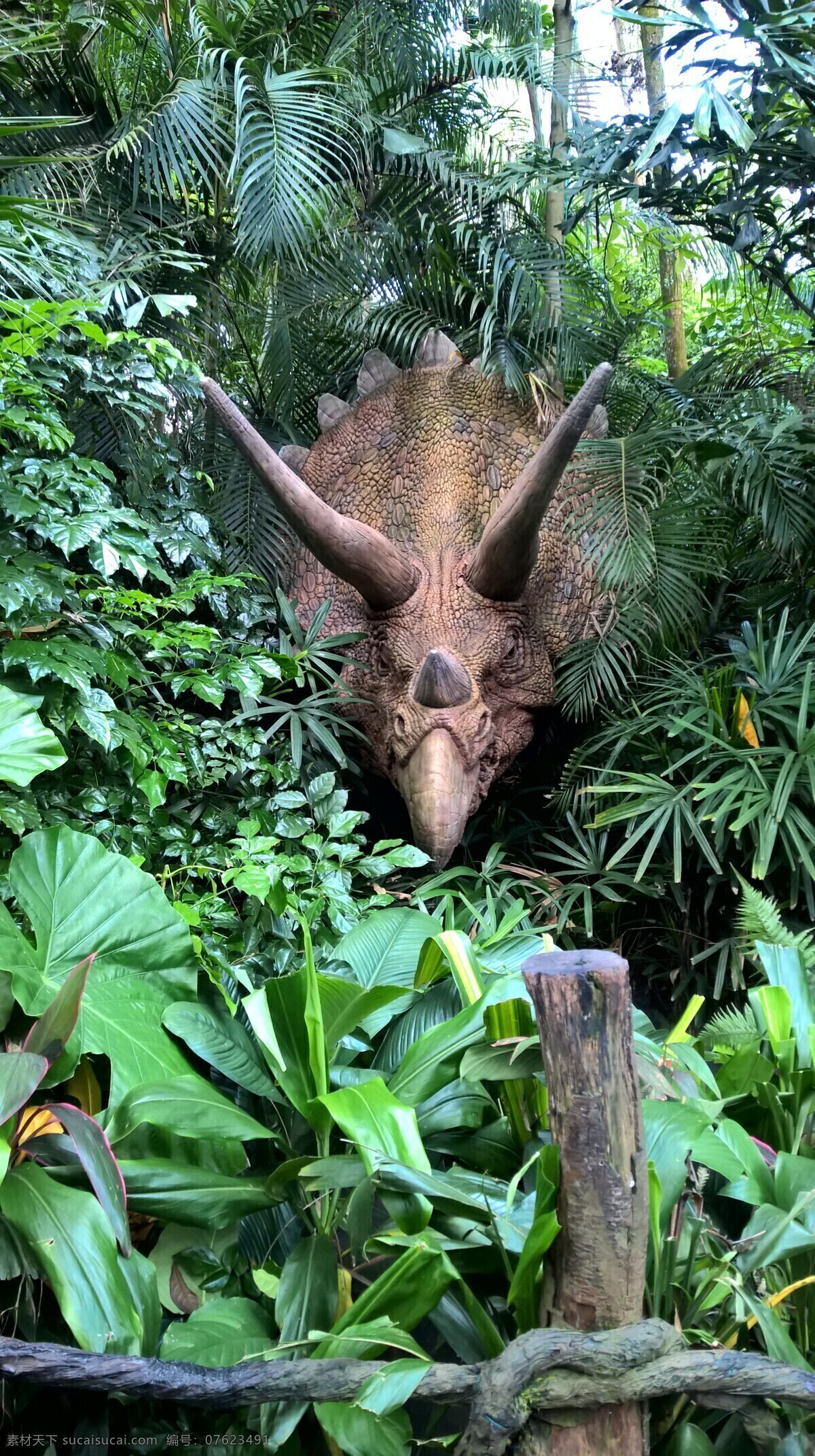 恐龙雕像 恐龙 动物园 野生 龙 森林 野生动物 生物世界