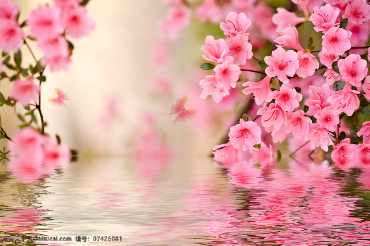 水中 浪漫 装饰画 效果图 粉色 花朵 水波 倒影 装饰图