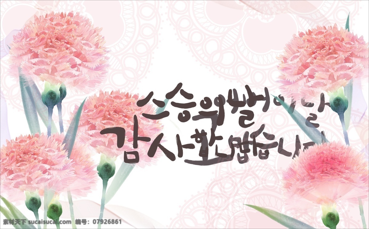 康乃馨 韩国 分层 花朵 鲜花 手绘 花卉 插画 花径 花朵背景 韩国广告 广告设计模板 源文件 白色