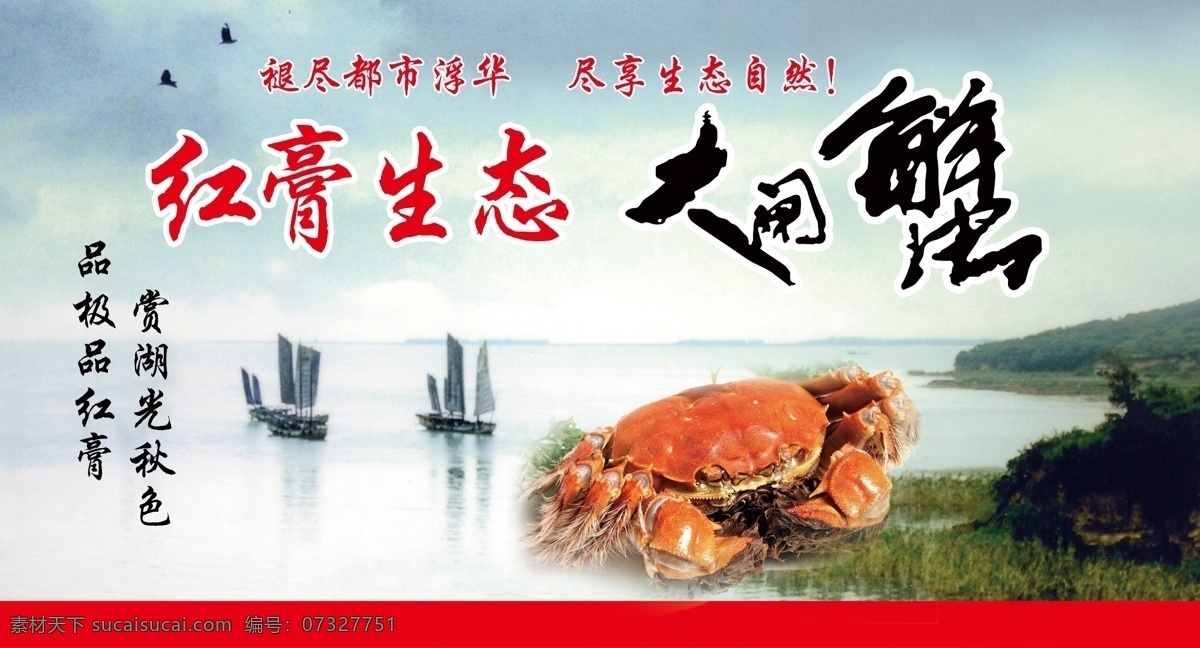 大闸蟹 螃蟹 红膏 湖 生态 船 分层