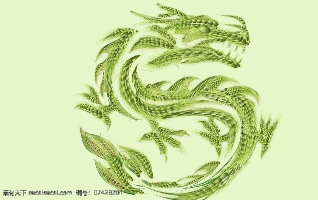 麦子 龙 绿色小麦 分层 源文件