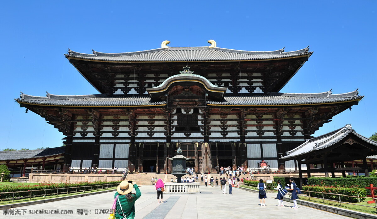 日本奈良 唯美 风景 风光 旅行 城市 日本 奈良 古城 历史 旅游摄影 国外旅游