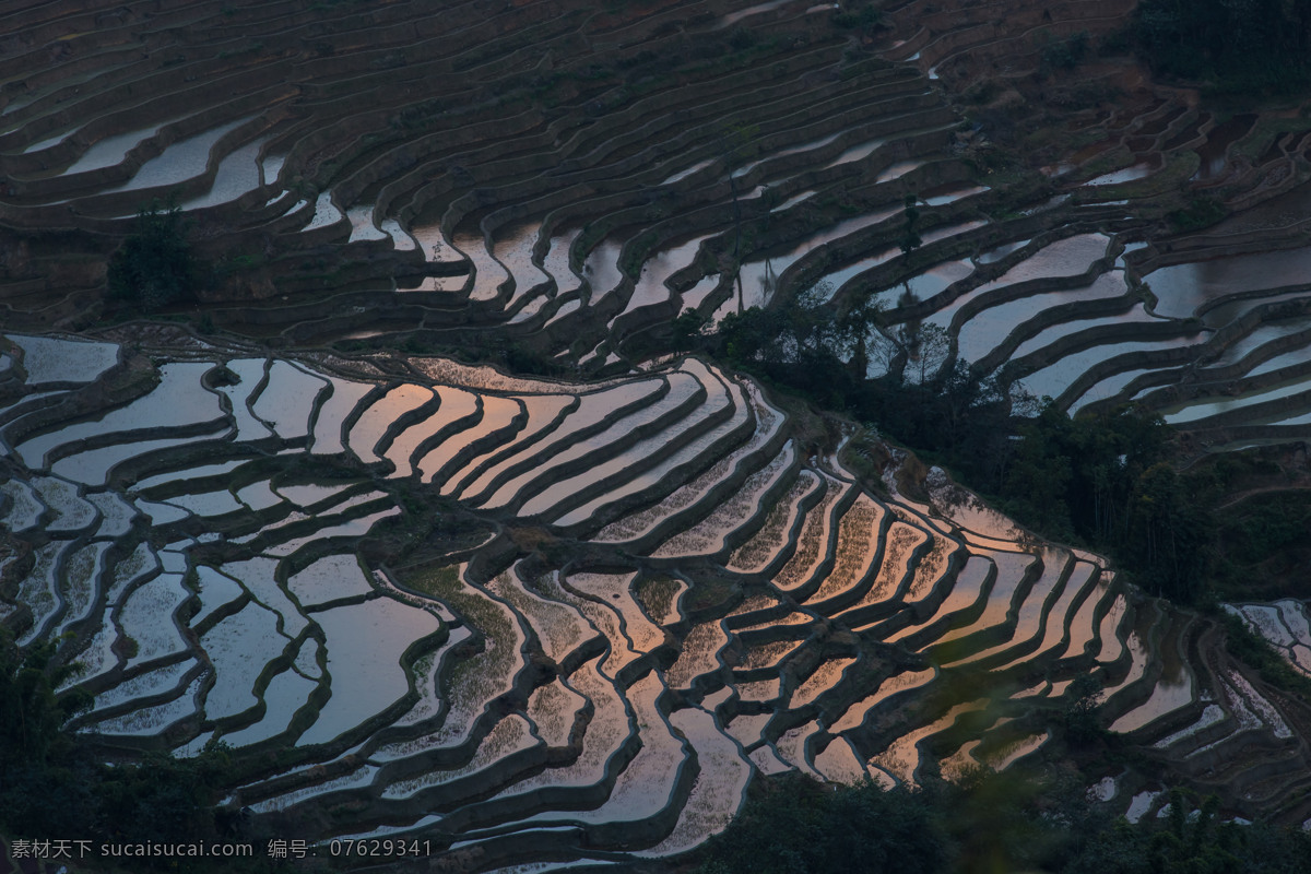 云南 元阳 梯田 风景