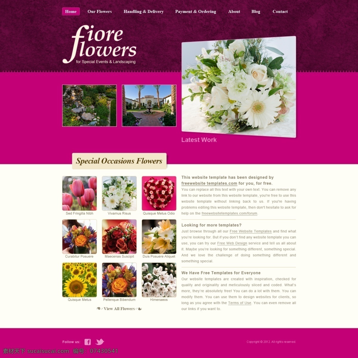 鲜花 网页 花 紫色网站 鲜花网页 卖花 网页素材 网页模板