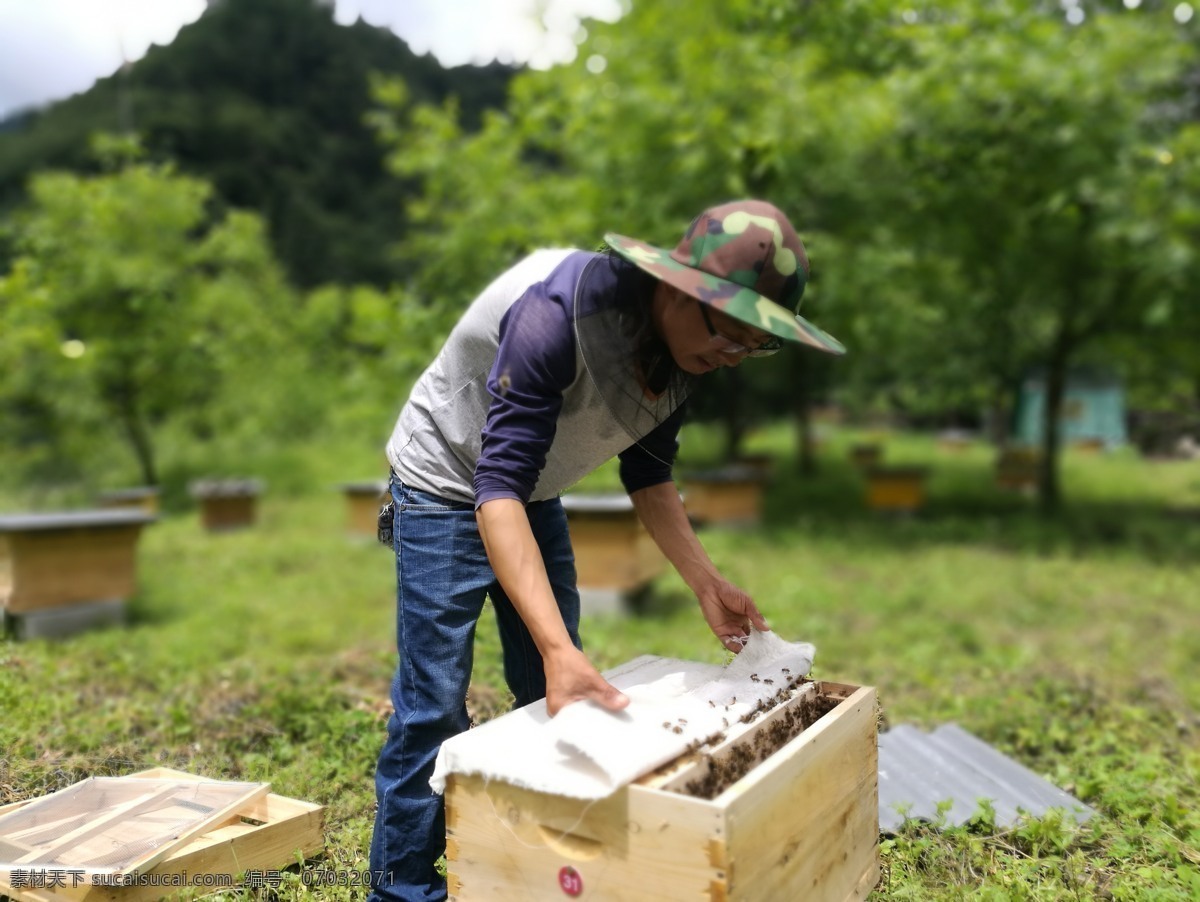 秦岭 深处 养蜂人 蜂蜜 土蜂蜜 纯天然蜂蜜 野生蜂蜜 瓶装蜂蜜 秦岭土蜂蜜 蜂蜜图片 蜂蜜素材 餐饮美食 传统美食