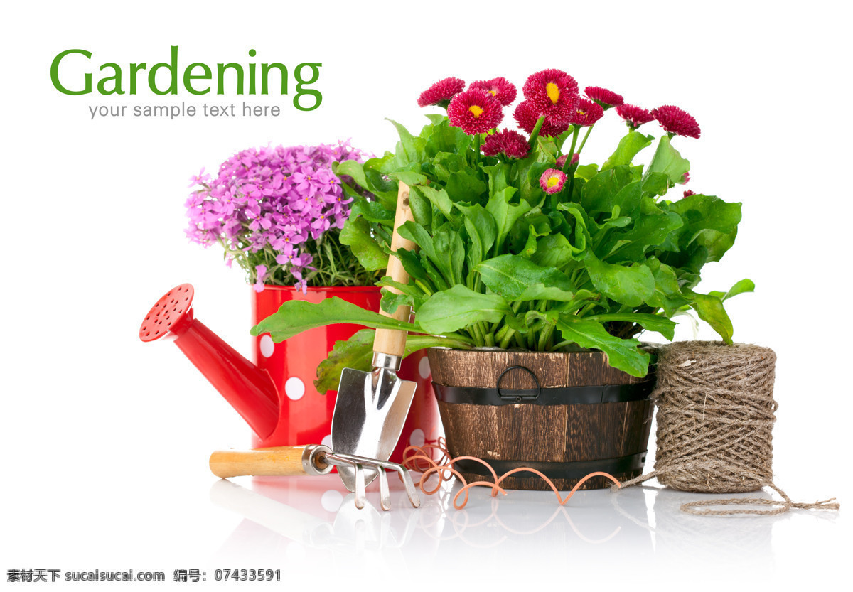 鲜花 背景 花 花朵 花盆 鲜花素材 鲜花背景 创意花盆 鲜花摄影 绿叶 叶子 摄影图库 图片背景 绳子 花草树木 生物世界