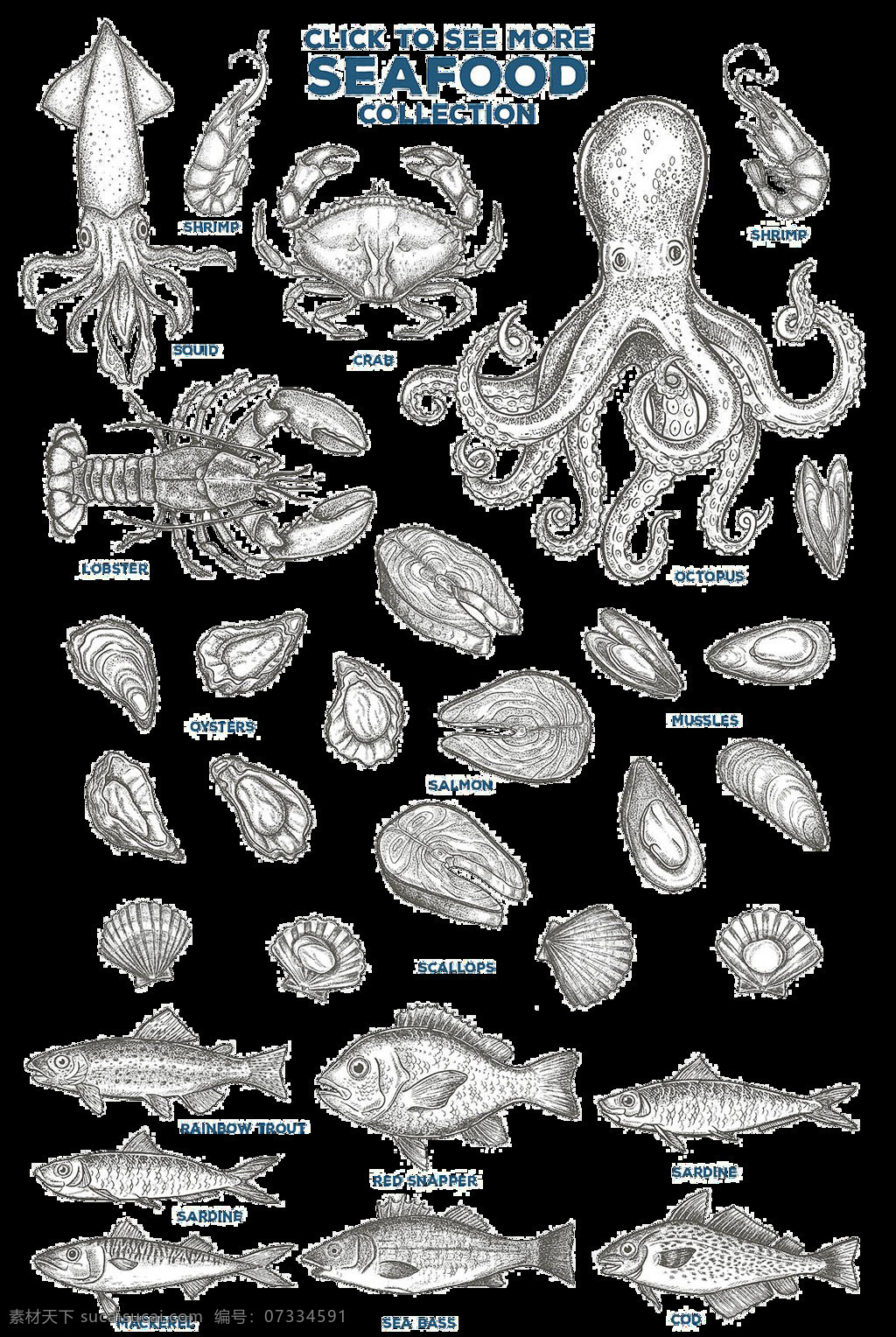 海底 动物 手绘 素描 效果 插图 背景 插画 卡通 欧式欧洲 手绘素材 鱼虾 贝壳素描