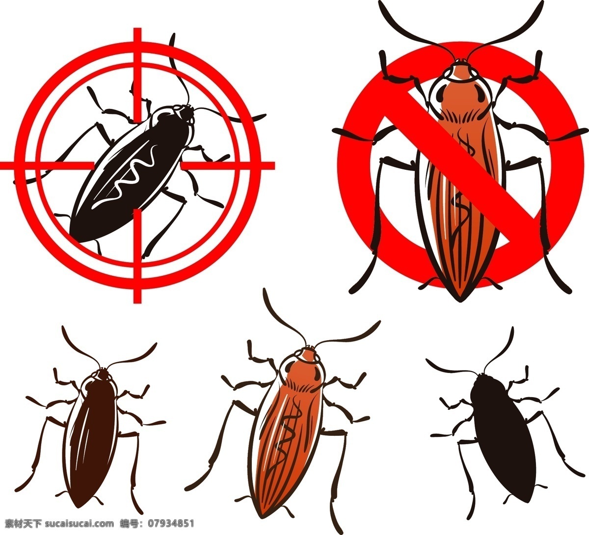 灭虫 蚊虫 有害昆虫 臭虫 蚊子 蟑螂 蛾子 老鼠 四害 蚂蚁 跳蚤 杀虫器 野生动物 生物世界 昆虫
