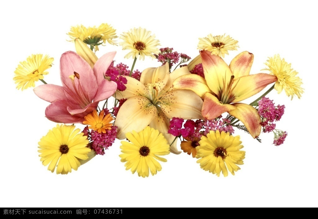 花卉抠图 花卉 分层 图 psd花纹 源文件库