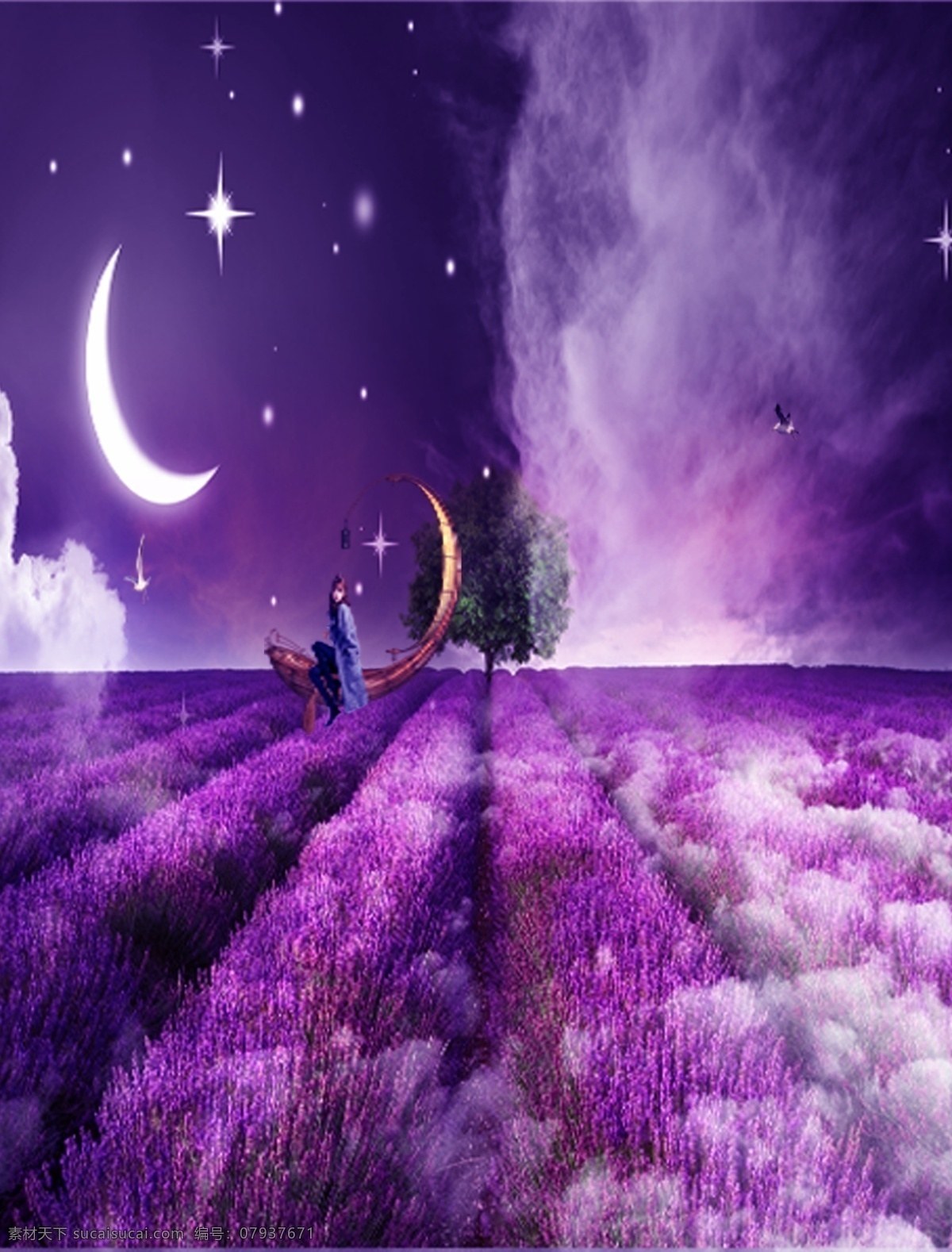 紫色 薰衣草 花海 装饰画 月光 梦幻 墙画 背景