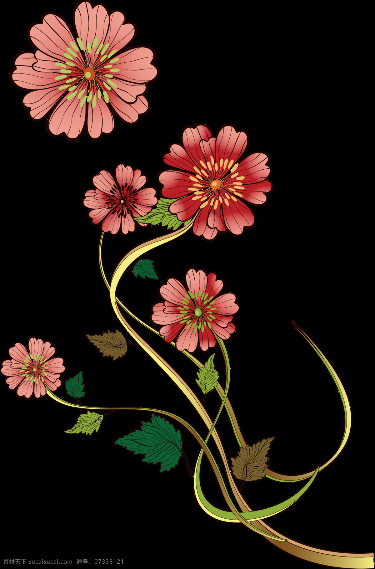 清新 深 粉色 手绘 菊花 装饰 元素 粉色花朵 花枝 植物 装饰元素